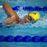 swimming-78112_640