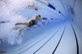 swimmers-79592__180